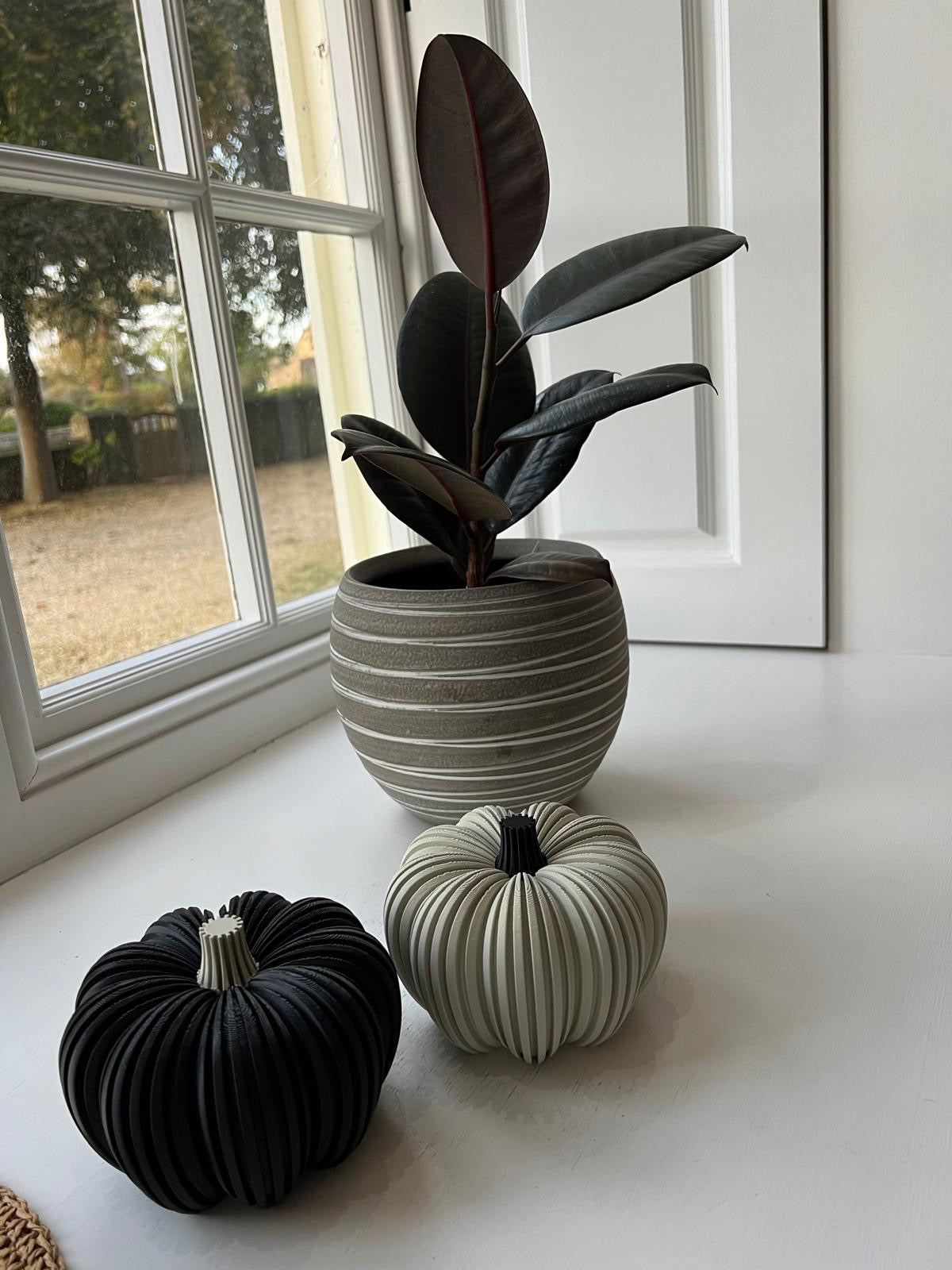Autumn Pumpkins