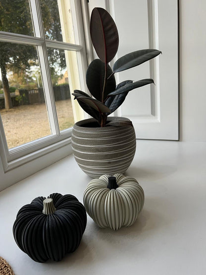 Autumn Pumpkins