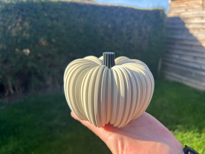 Autumn Pumpkins